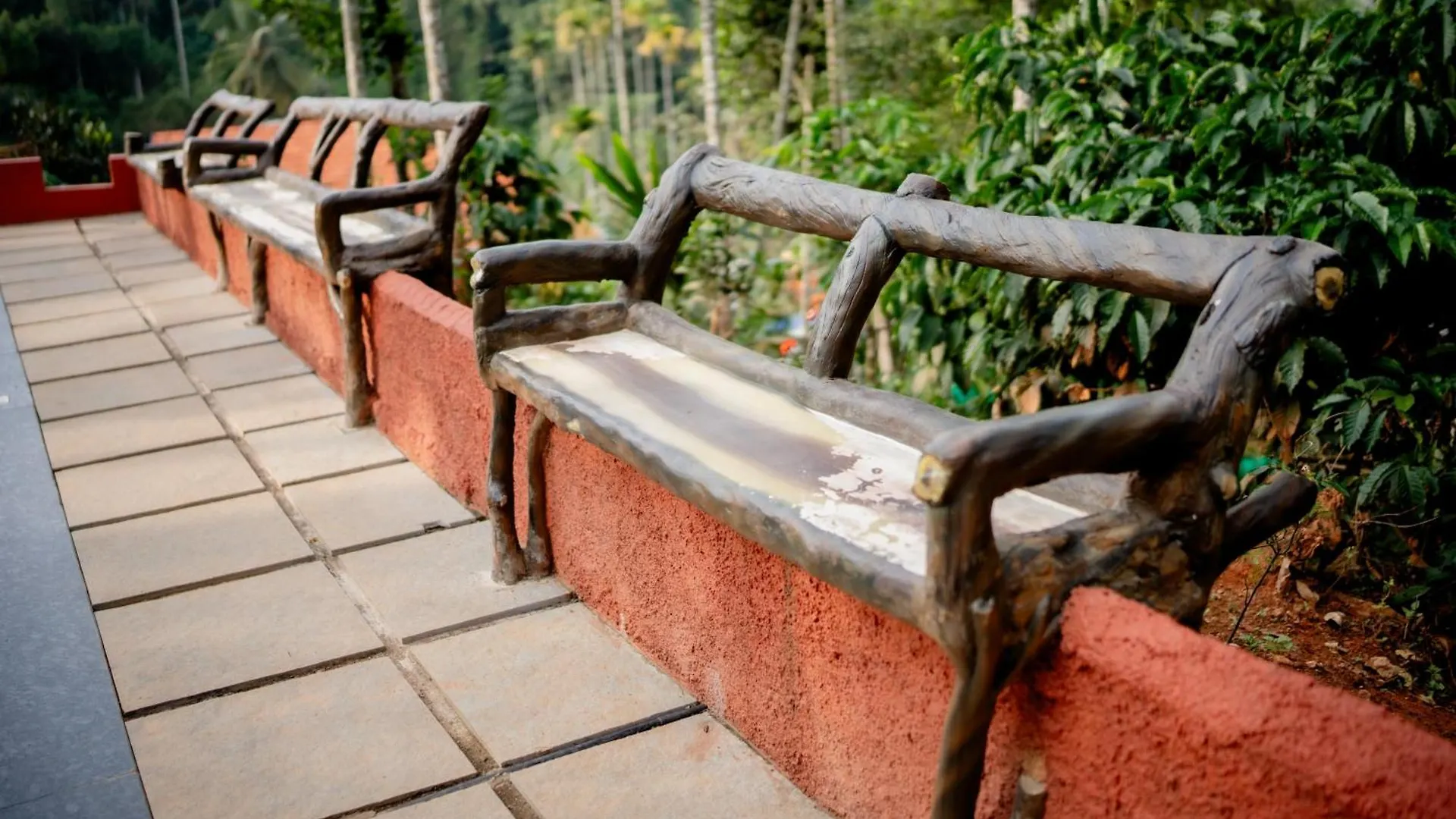 Beehive Staycations Ambalavayal India